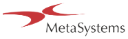 MetaSystems